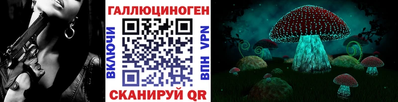 хочу   Вуктыл  Псилоцибиновые грибы Cubensis 